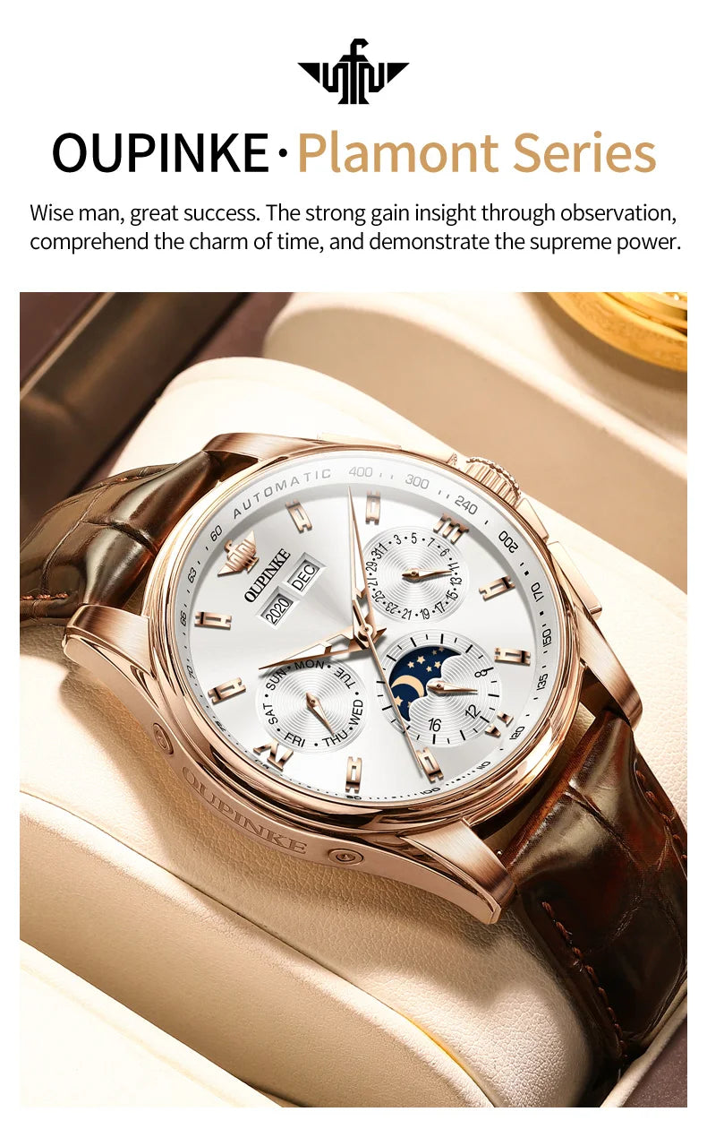 OUPINKE 3189 Mens Watch Original Brand Automatic Mechanical Watch Waterproof Luminous Watches Luxury Men Multifunctional Watches